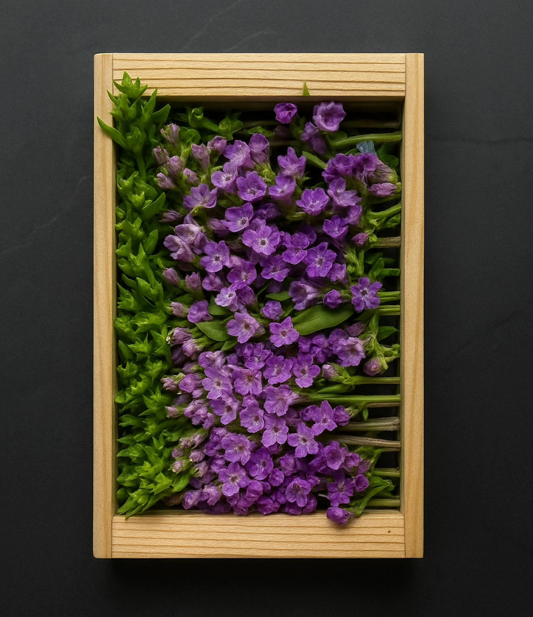 Fresh Shiso (Hanaho) Flower