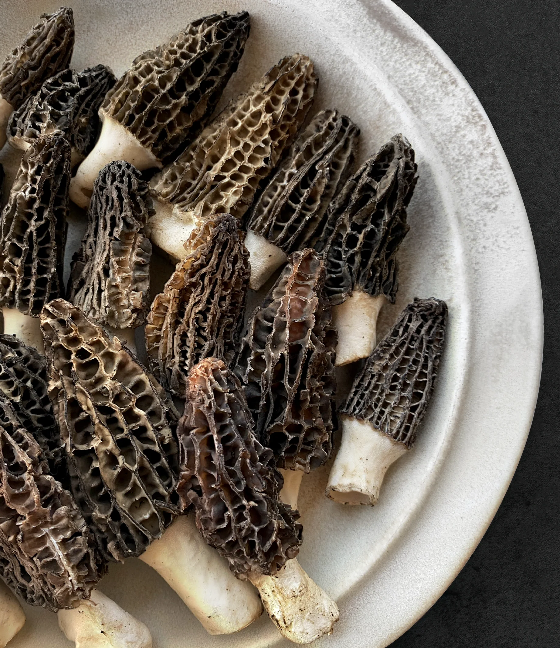 Himalayan "Gucchi" Black Morels - Image 2