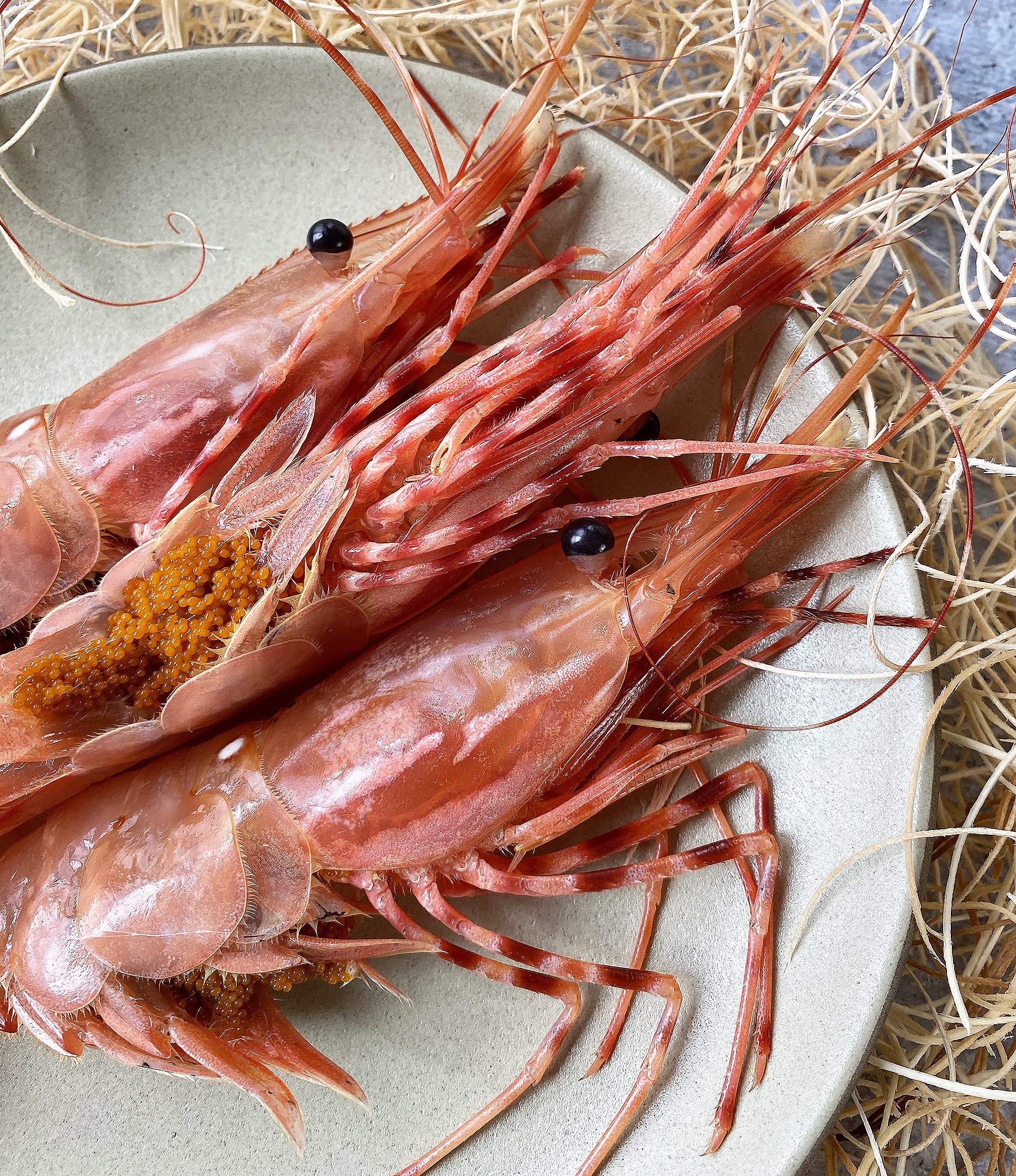 Live California Spot Prawns (Botan Ebi) - Image 3