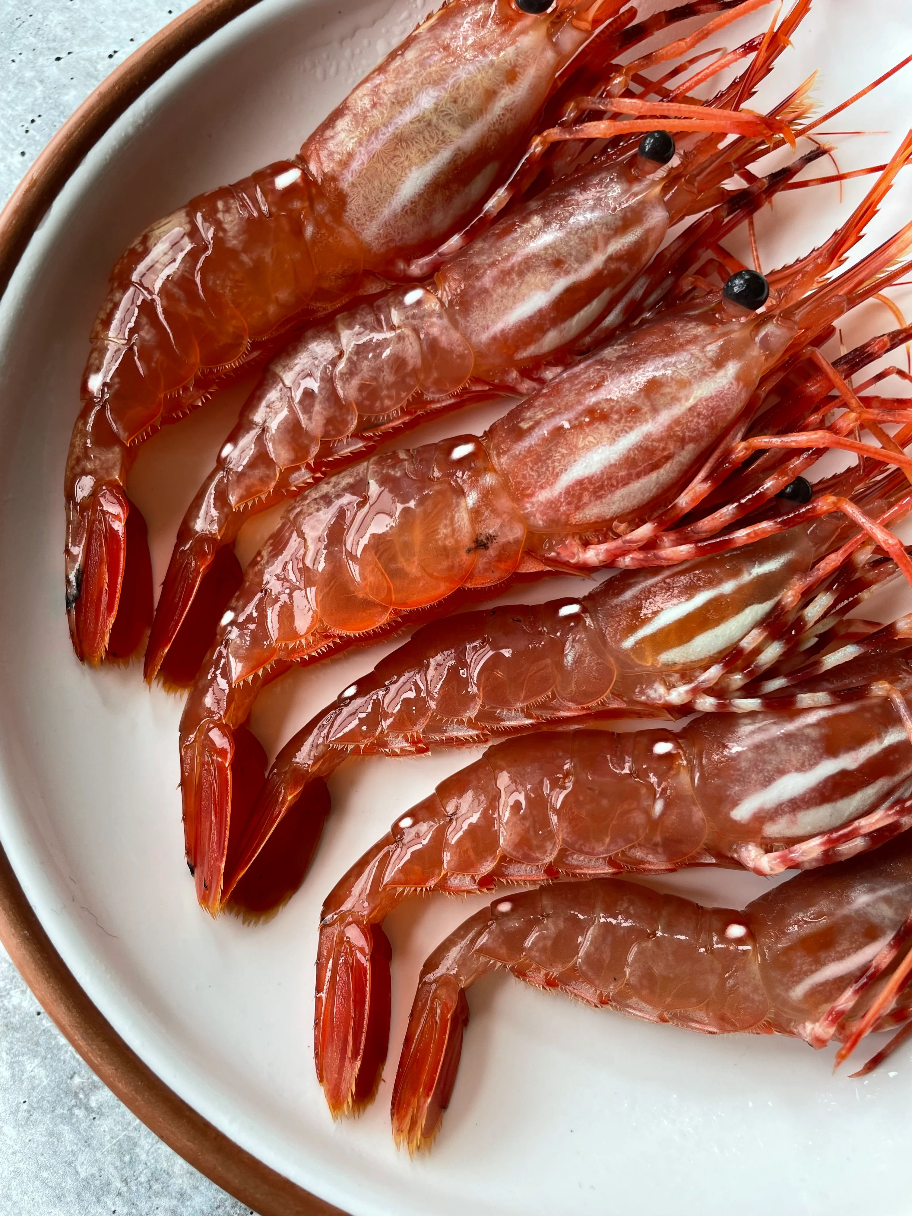 Live California Spot Prawns (Botan Ebi) - Image 8