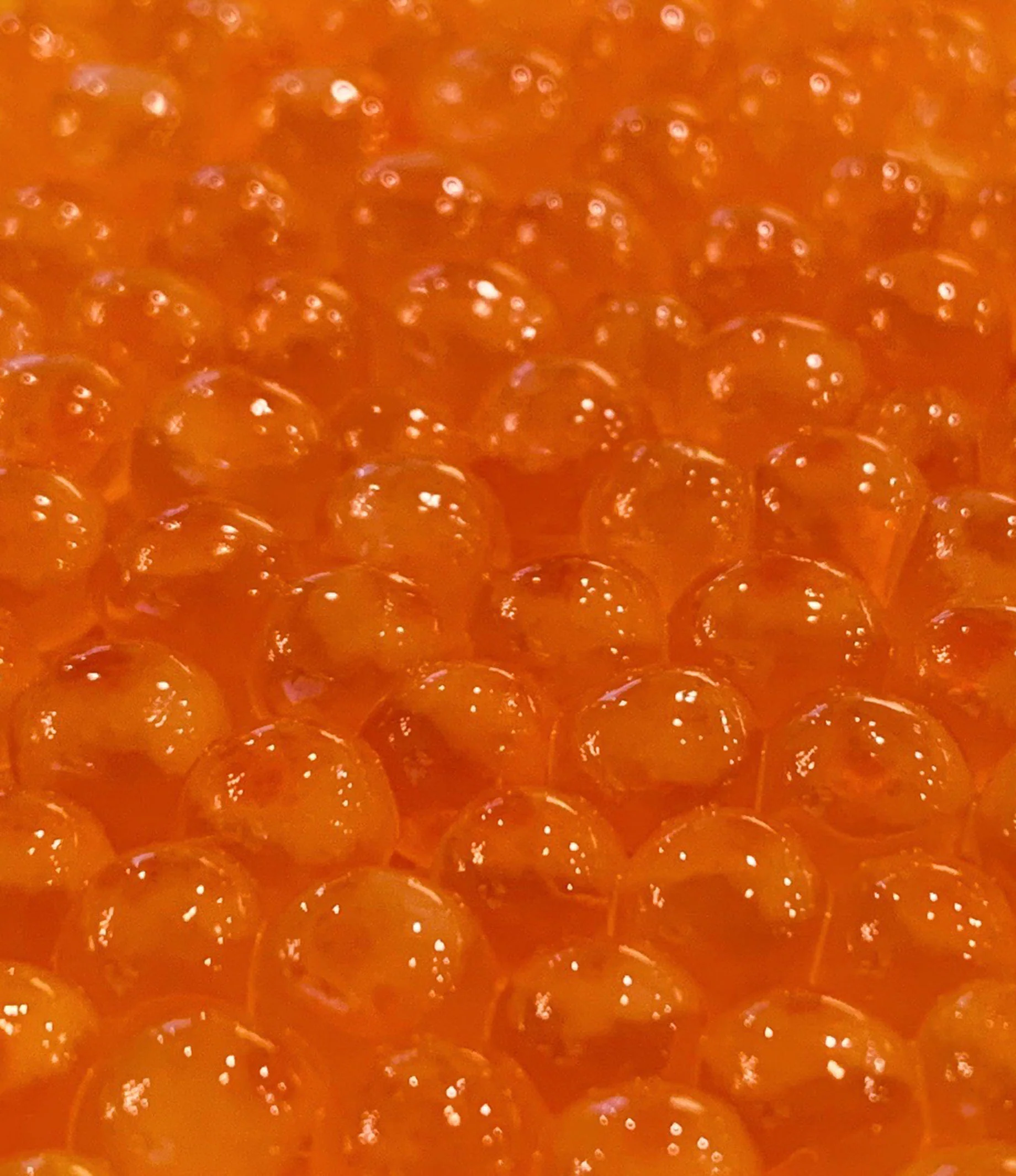 Natural Cure Trout Roe - Image 3