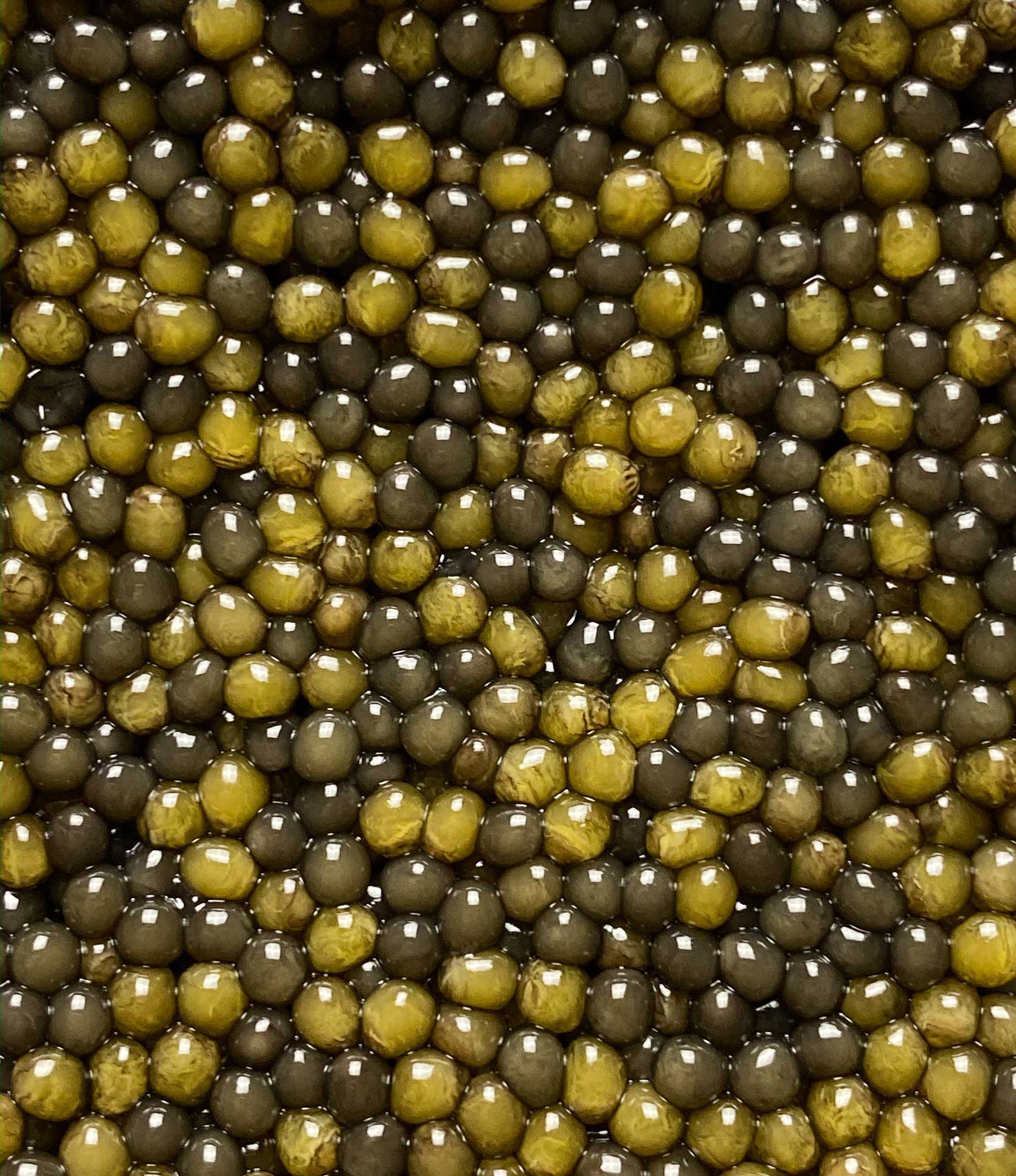 Two-Tone Osetra Caviar - Image 5