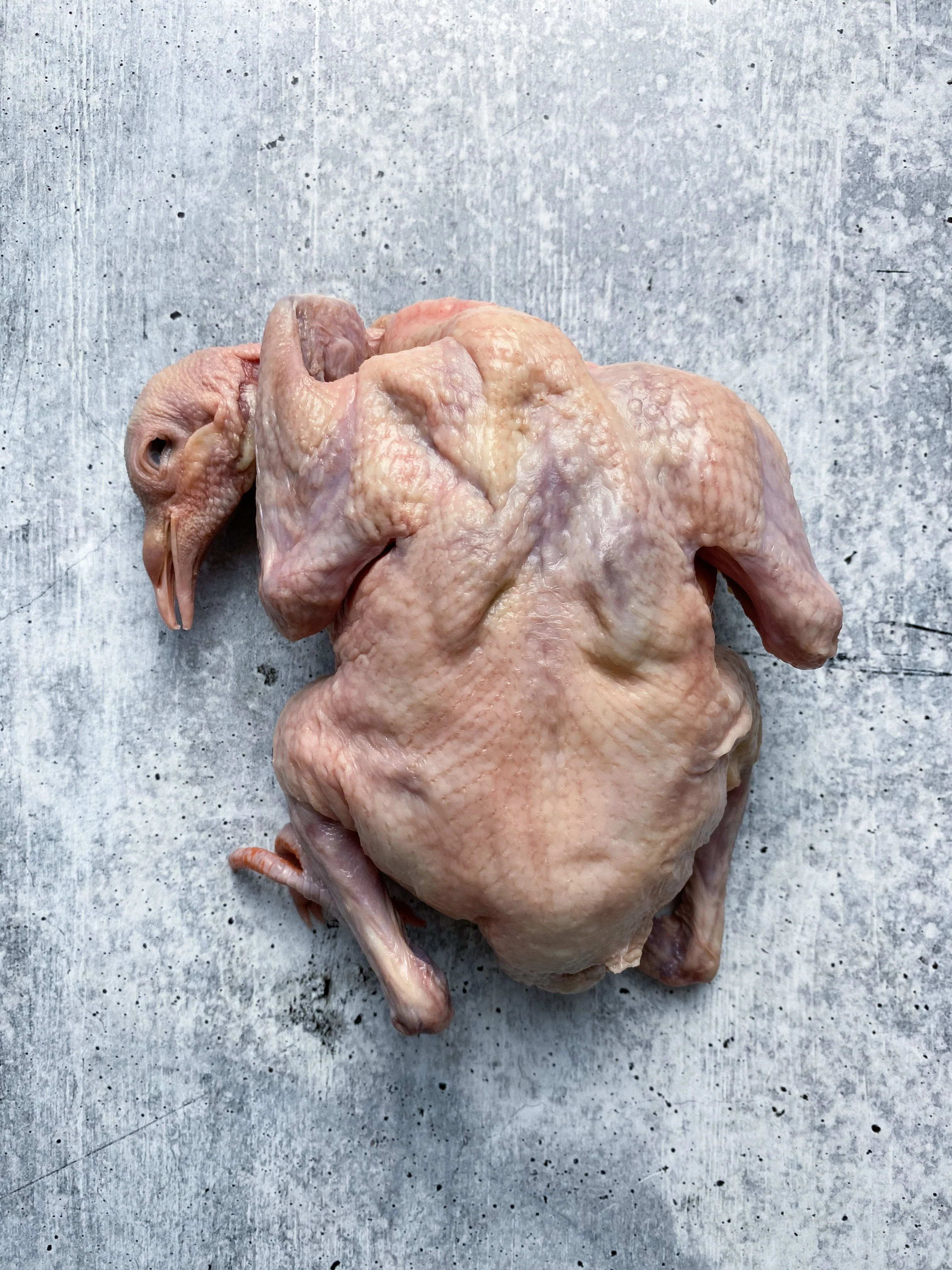 Wood Pigeon (Squab) - Image 4