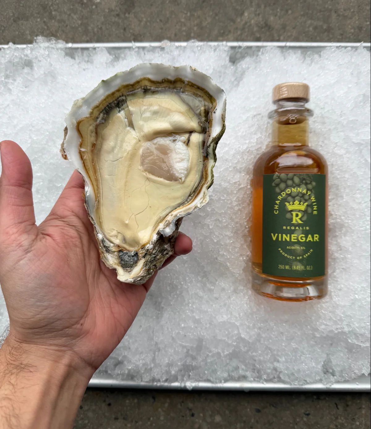 Willapa Bay Behemoth Large Oysters - Image 2